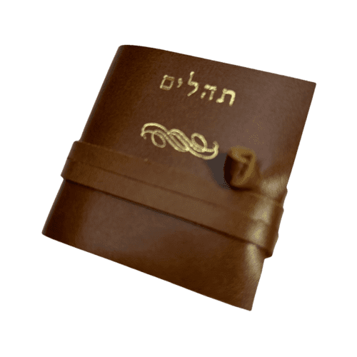 תהילים